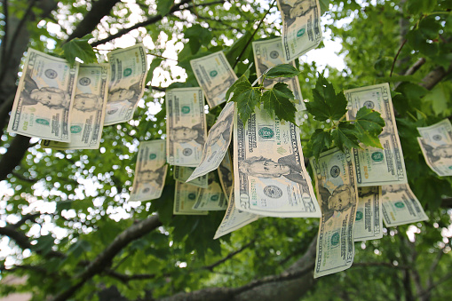 money doesn't grow on trees