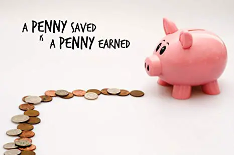 save penny pink piggy bank