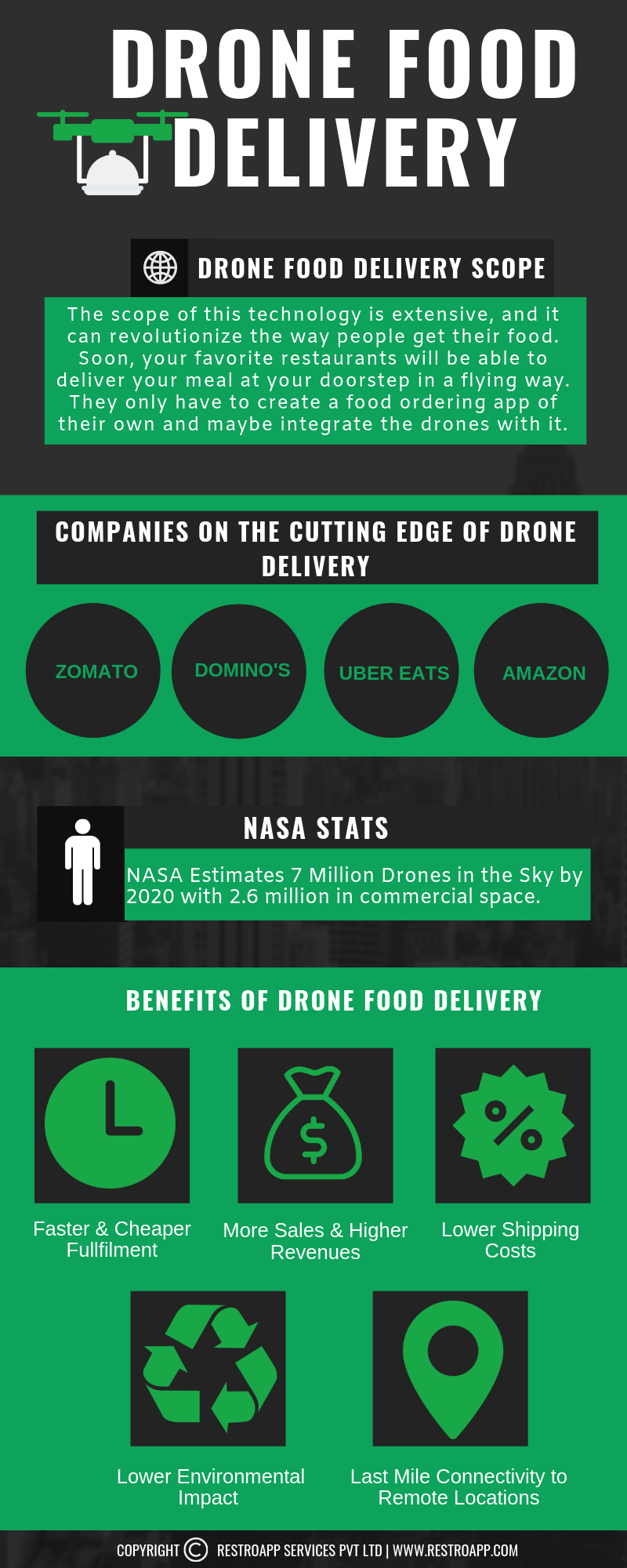 drone food delivery infographic